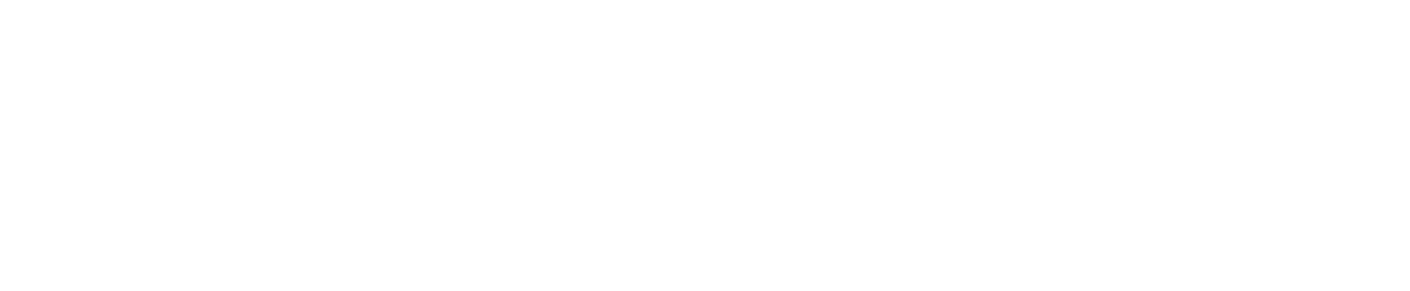 Shopify Plus